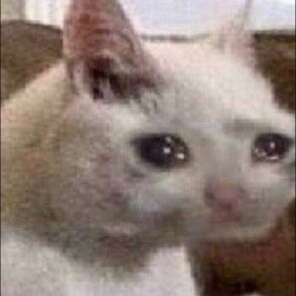 Meet your Posher, Amanda - Picture 1 of 1